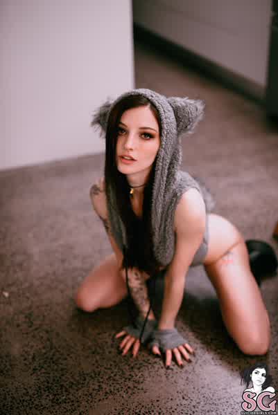 5a6ea91644c3978dafc347ce03231898be7e86e93824381aedb84c5d1d218054 thumbnail