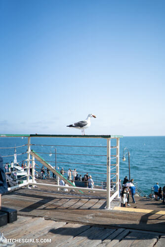 253911312280507711487415250707727597659 thumbnail