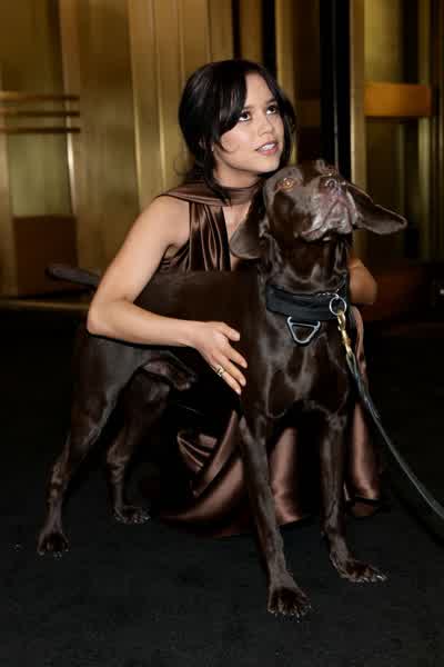 7d8742781f664b940bf2cd2e25c79438c9ba53f1bf9b26325a7527f555cb0d60 thumbnail