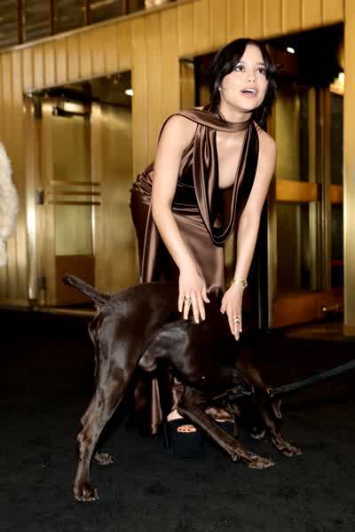 fcf2e0fa7b6c12ad1a2e346406358e0497b7e1bd86f9d99abfe91456eef4eab8 thumbnail