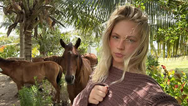 0d4219a85e98b7f4ae95aefc7817f8f5173d683875975d433845d587bd2f9b40 thumbnail