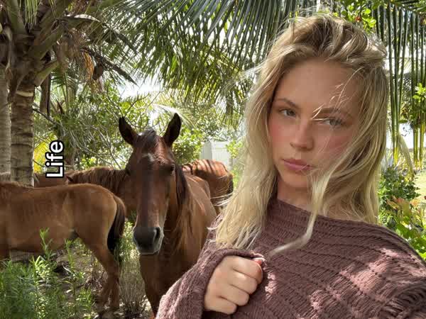 8be0410b87b896504c9b926d3d67e2495821635ad9becfba86982d0546b76072 thumbnail