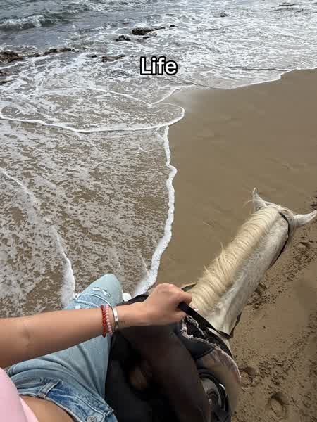 8fa5ea8b33675e6dcdf731d16677e57693a4033a1a072870cf2305fb4fe03621 thumbnail