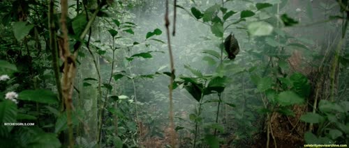 a65573c63c68a349896cfc8a7dca7977456476a6f20c7f8710f9d8ed59aefb6b thumbnail